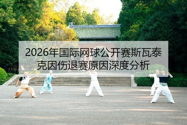 nian-guo-ji-wang-qiu-gong-kai-sai-si-wa-tai-ke-yin-shang-tui-sai-yuan-yin-shen-du-fen-xi-2-873.jpg