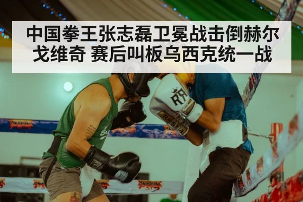 中国拳王张志磊卫冕战击倒赫尔戈维奇 赛后叫板乌西克统一战