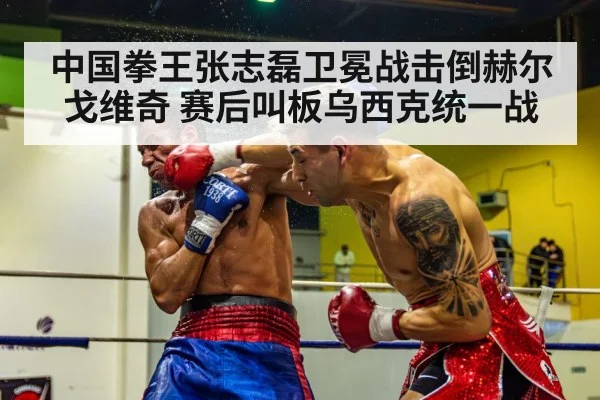 boxer knockout punch