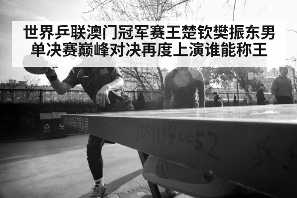 世界乒联澳门冠军赛王楚钦樊振东男单决赛巅峰对决再度上演谁能称王